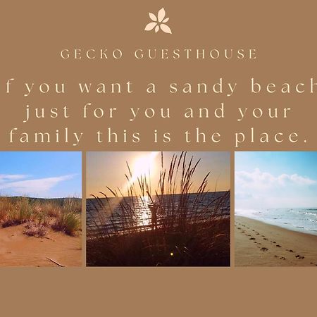 Gecko Guesthouse Agios Nikolaos  Екстериор снимка